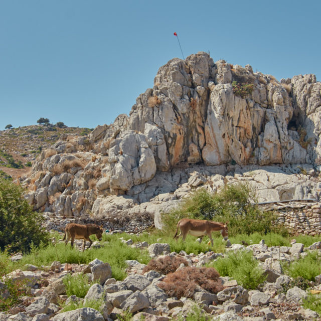 In Turkey