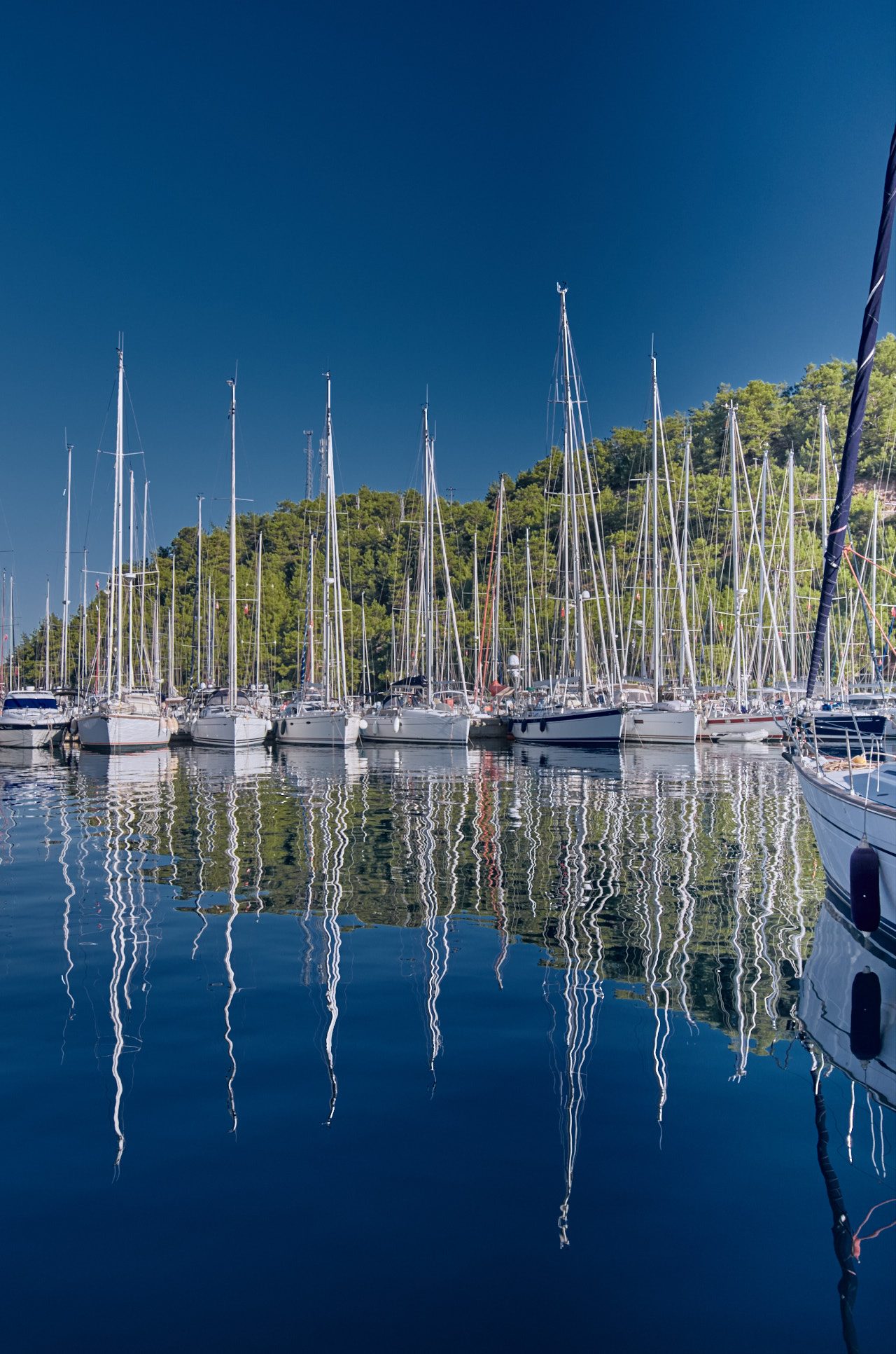 Marti Marina, Orhaniye