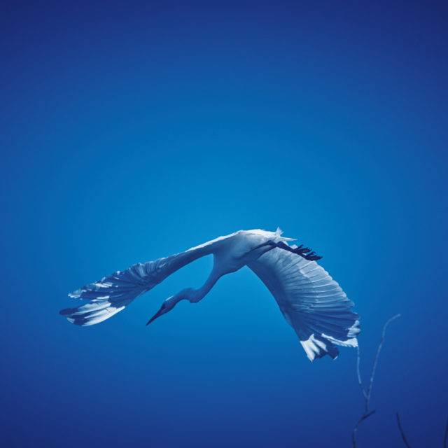 Blue atmosphere in Danube Delta