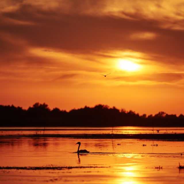 The magic of the Danube Delta