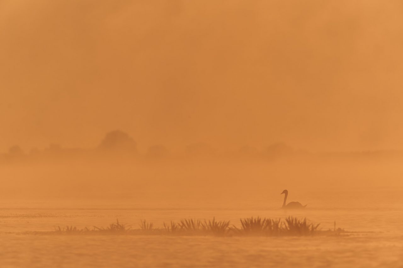 Danube Delta Photographed by Lucian Niculescu