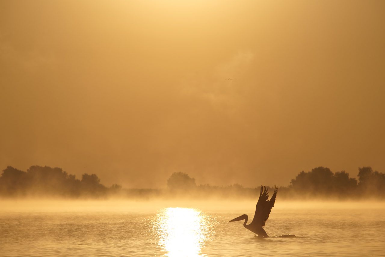 Danube Delta Photographed by Lucian Niculescu