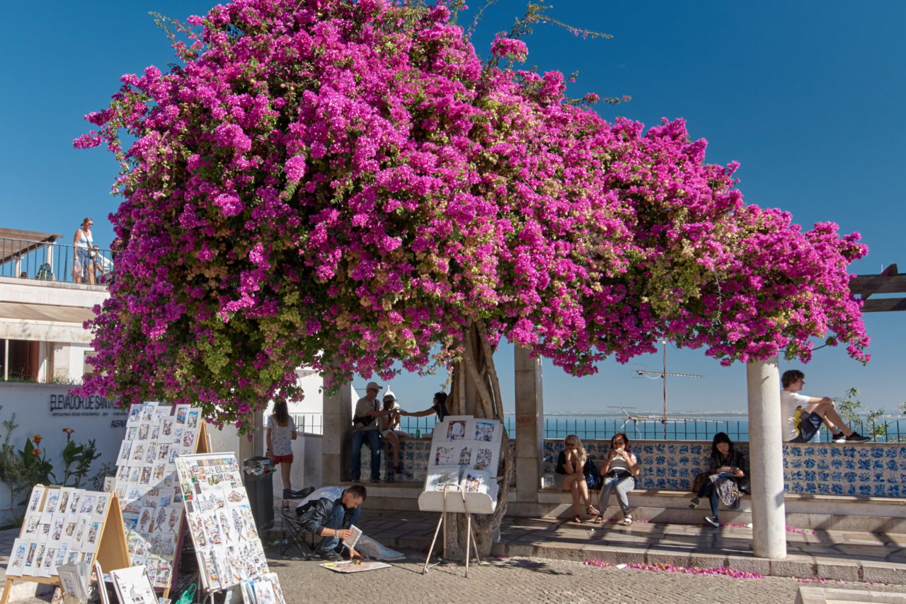Lisbon Portugal Photographed by Lucian Niculescu