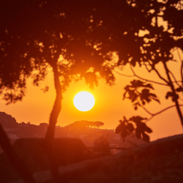 Sunset love