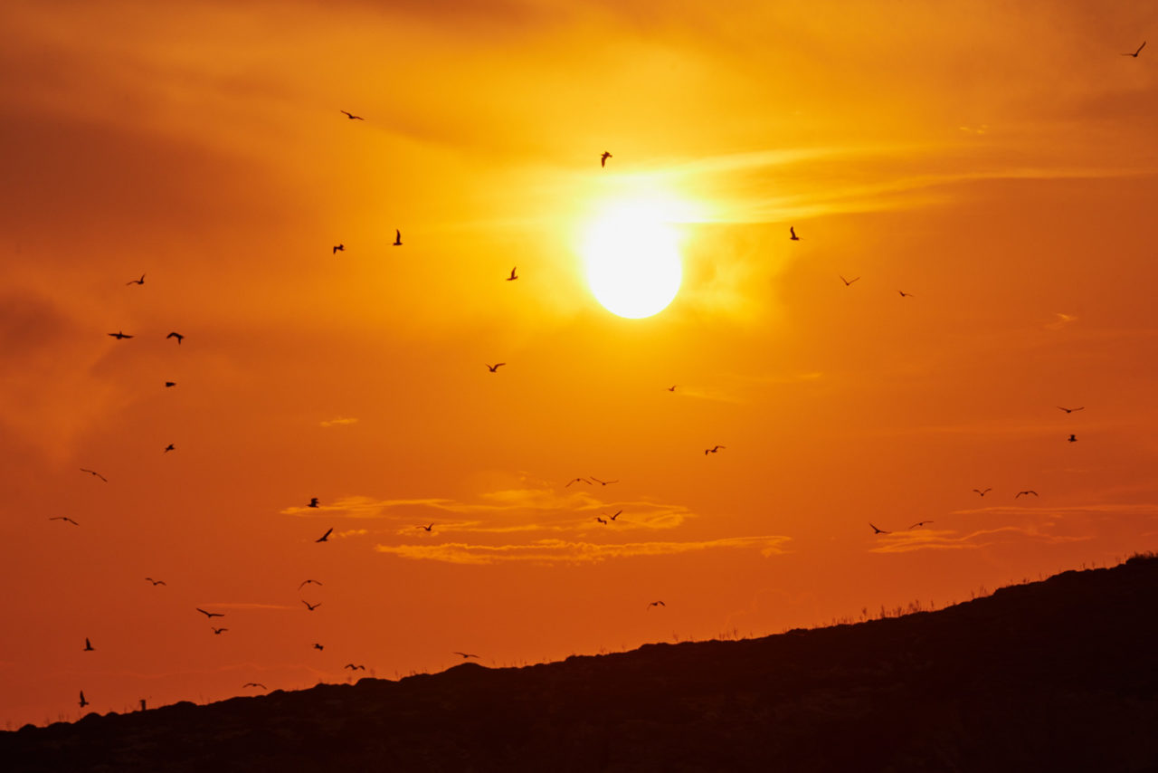 Sunset in Paros, Greece