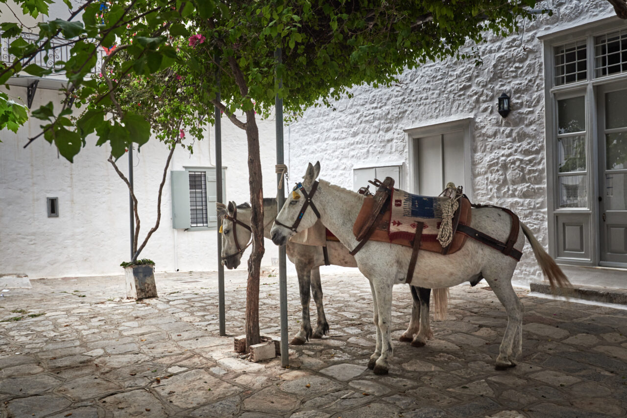 Hydra Island 2019