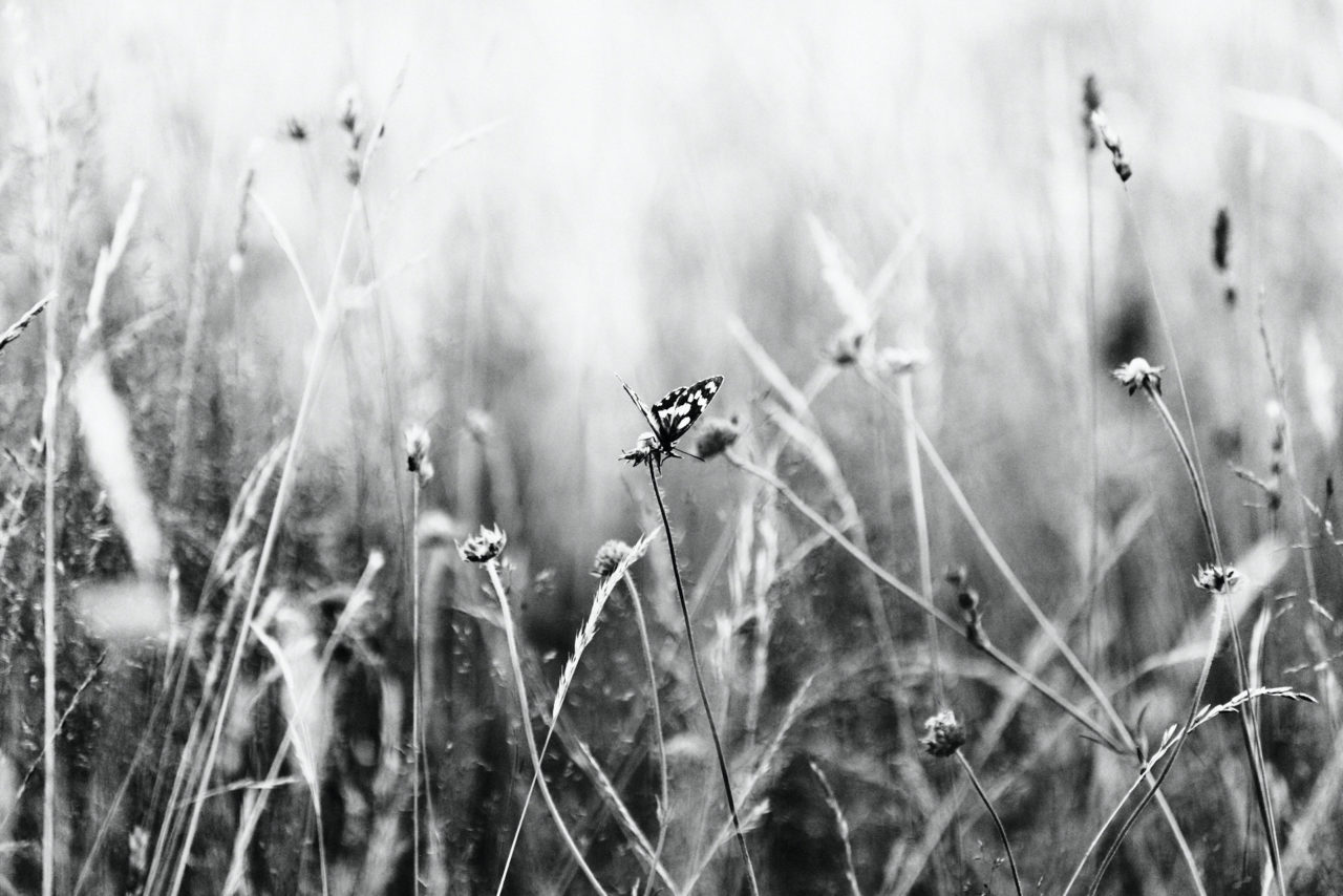 Black and White Photography by Lucian Niculescu