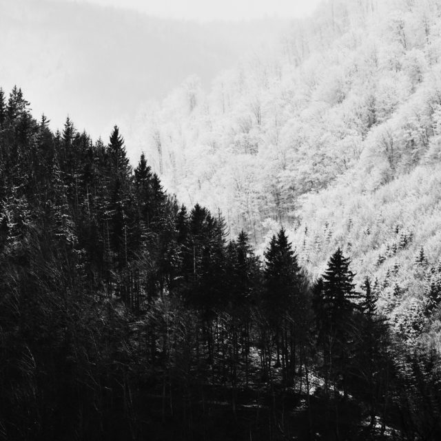 Black&White