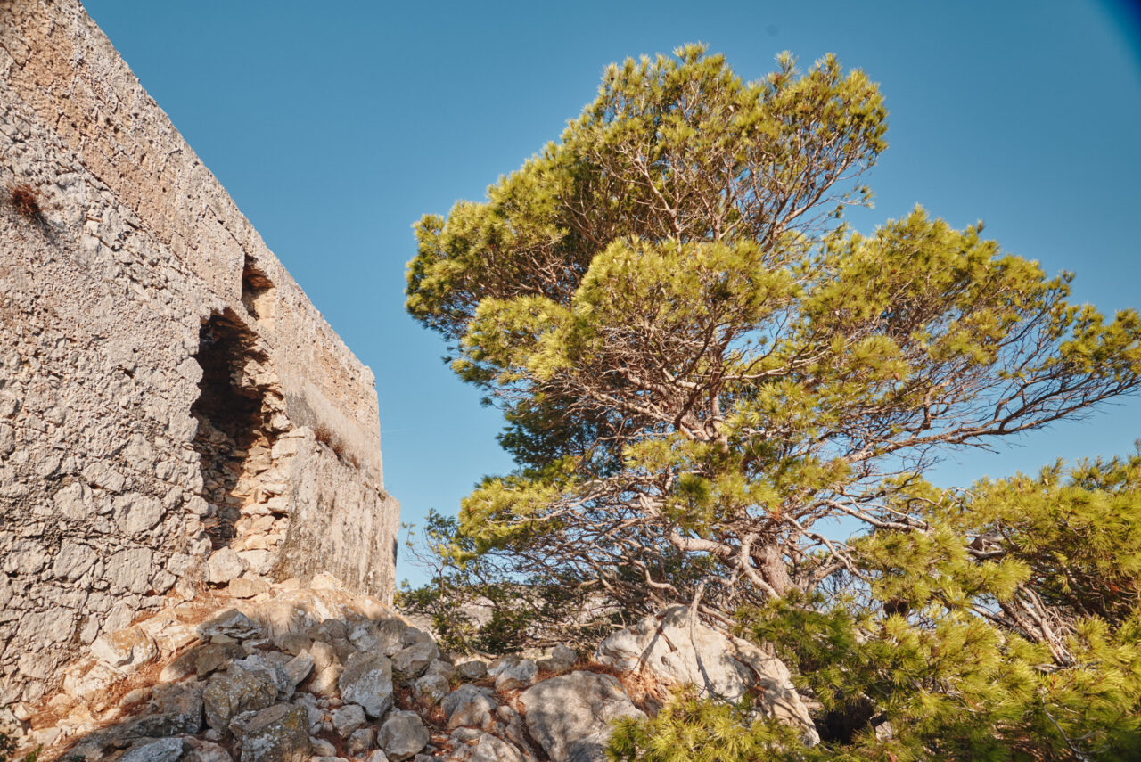 Levanzo Egadi Islands Italy 2021