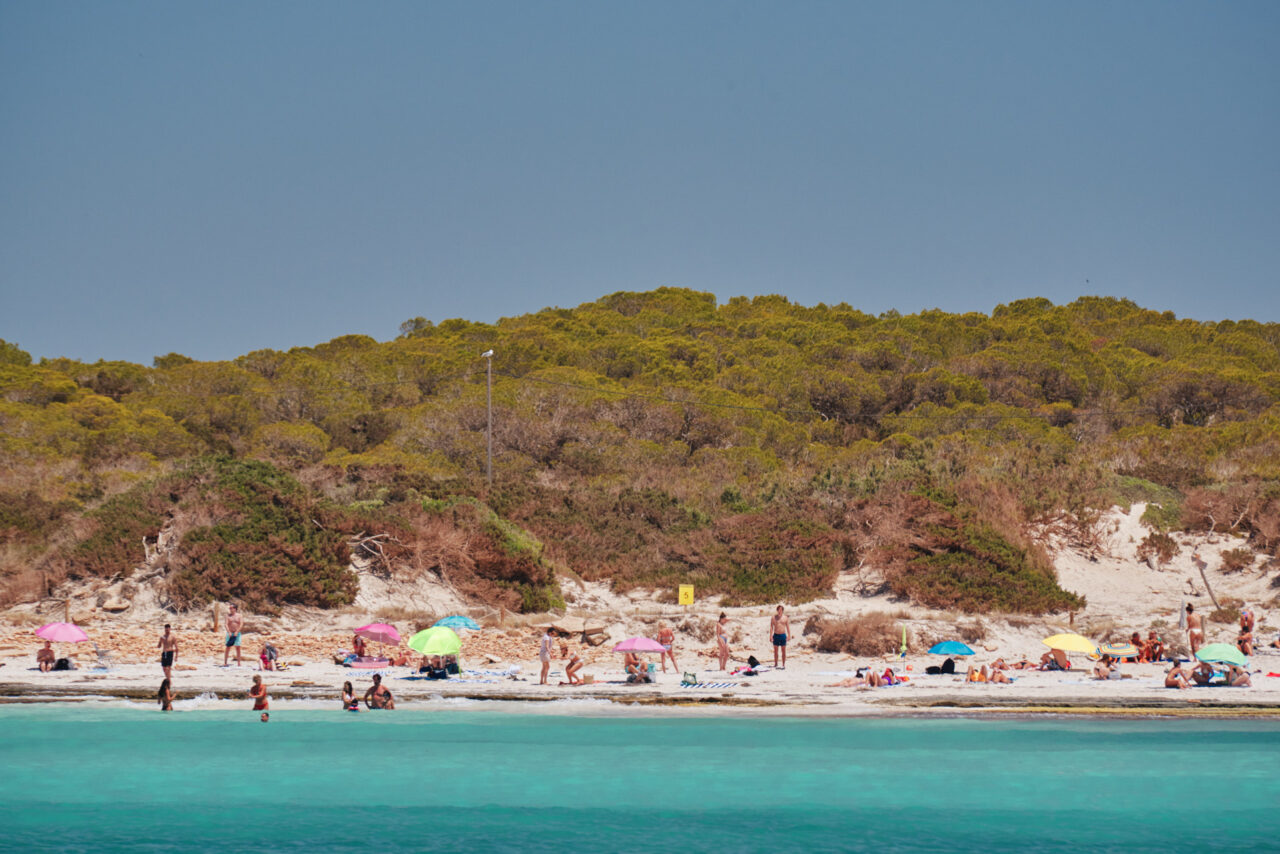 Mallorca Balearic Islands 2019 2024