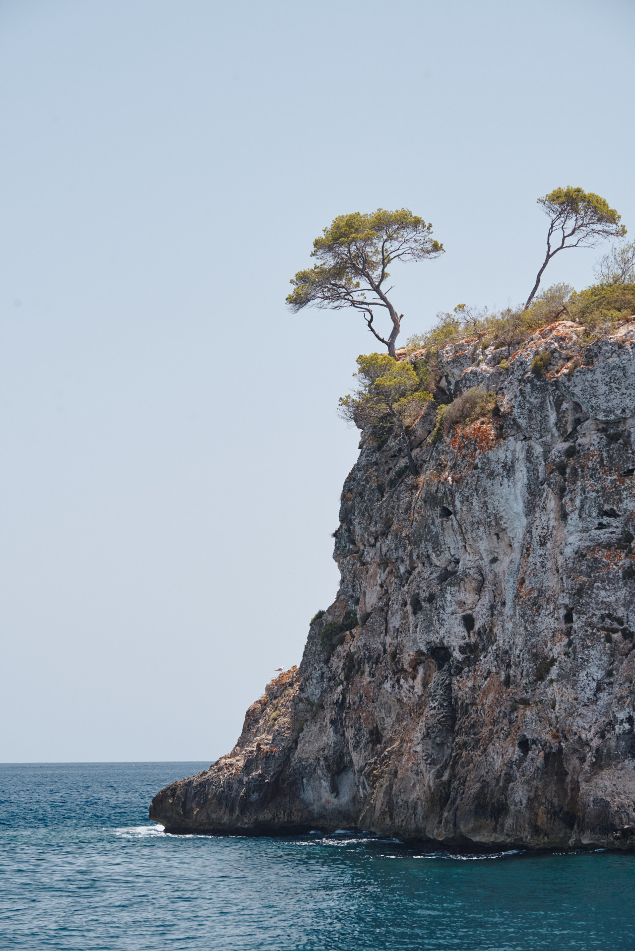 Mallorca Balearic Islands 2019 2024