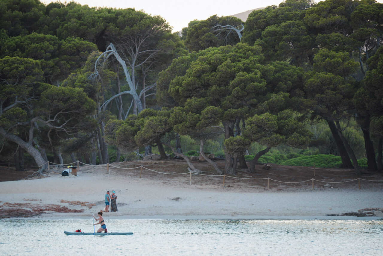 Mallorca Balearic Islands 2019 2024