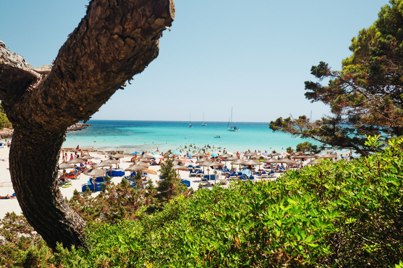 Mallorca Balearic Islands 2019 2024