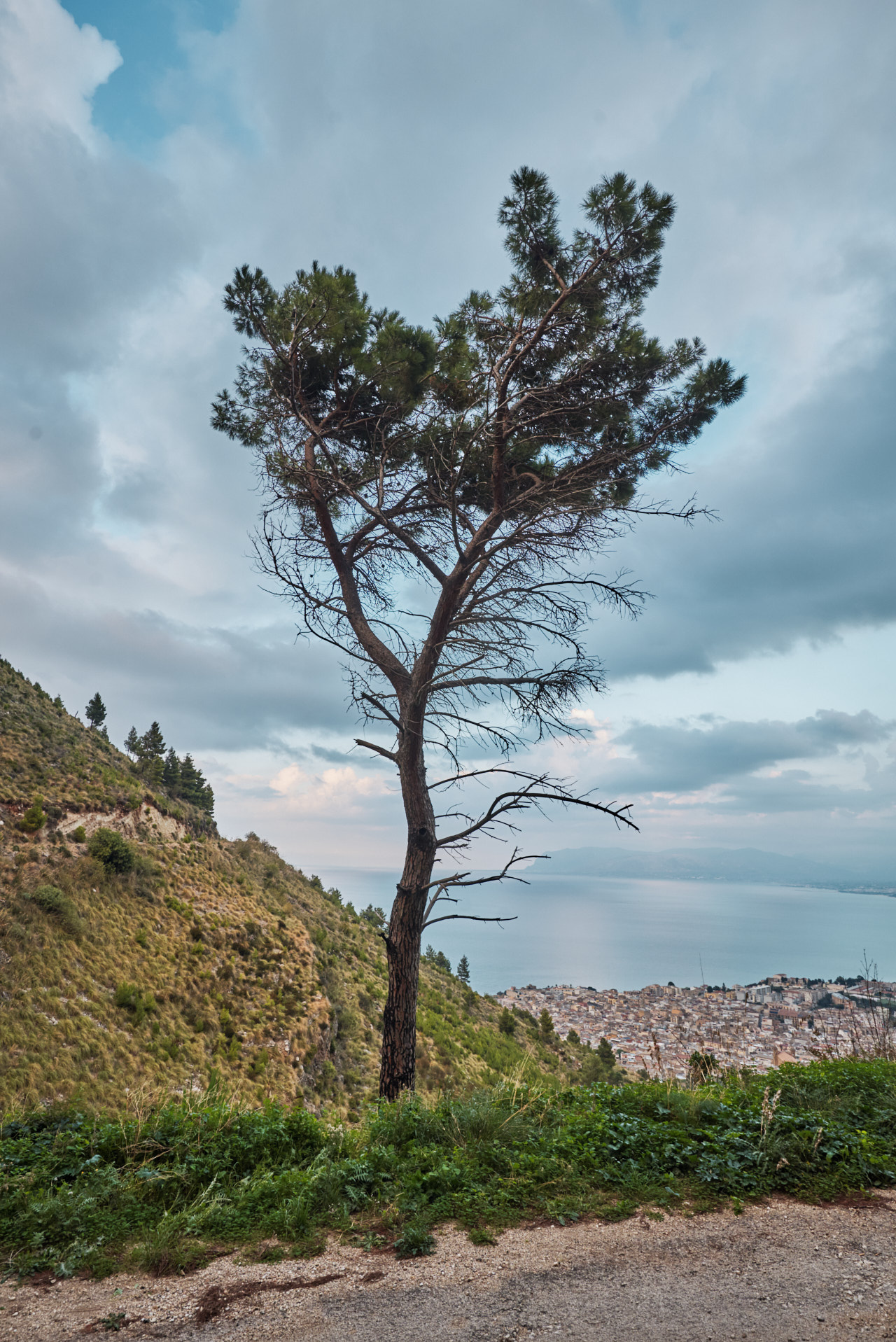Castellammare Del Golfo Sicily, Italy