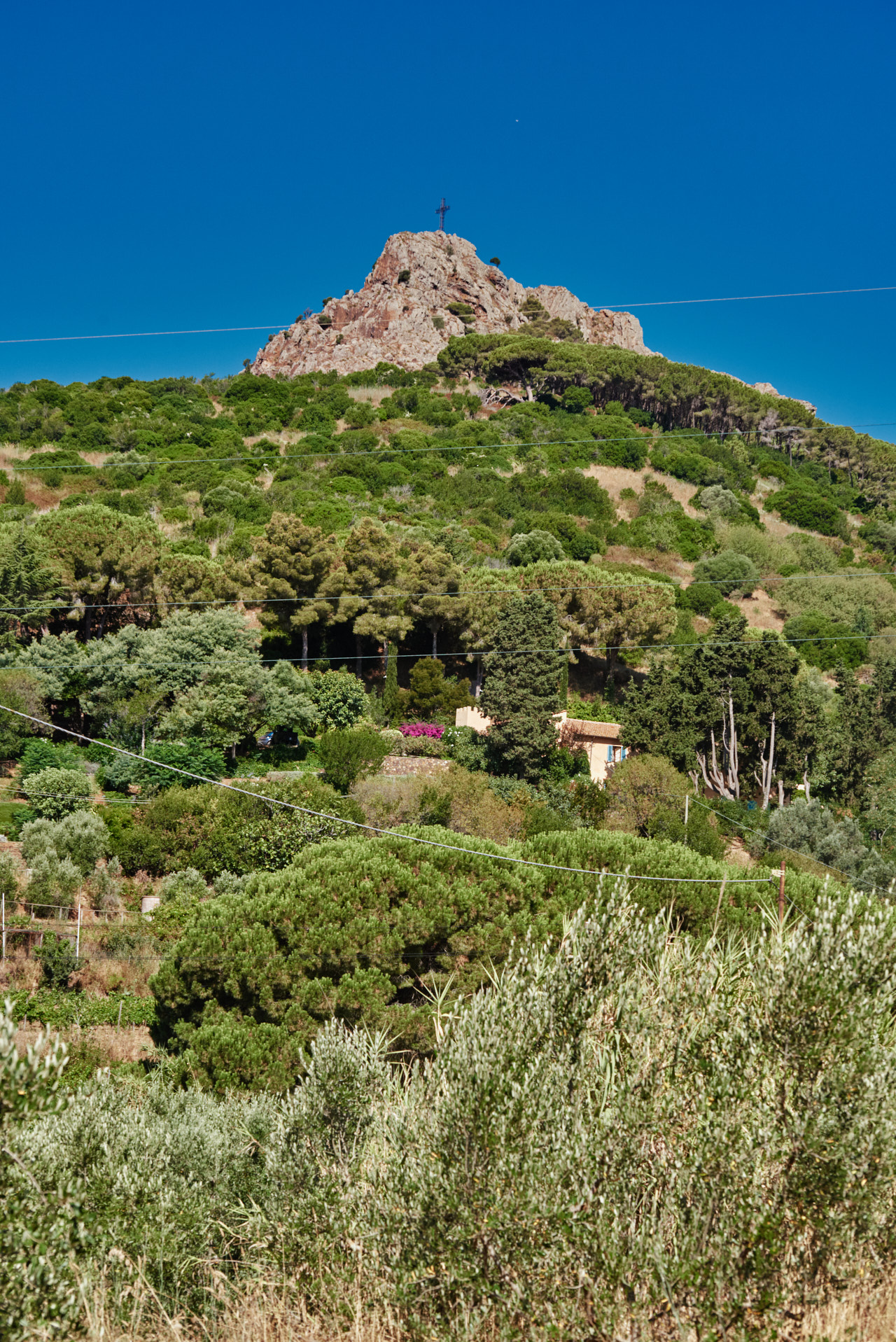 Elba Toscana Italy 2025
