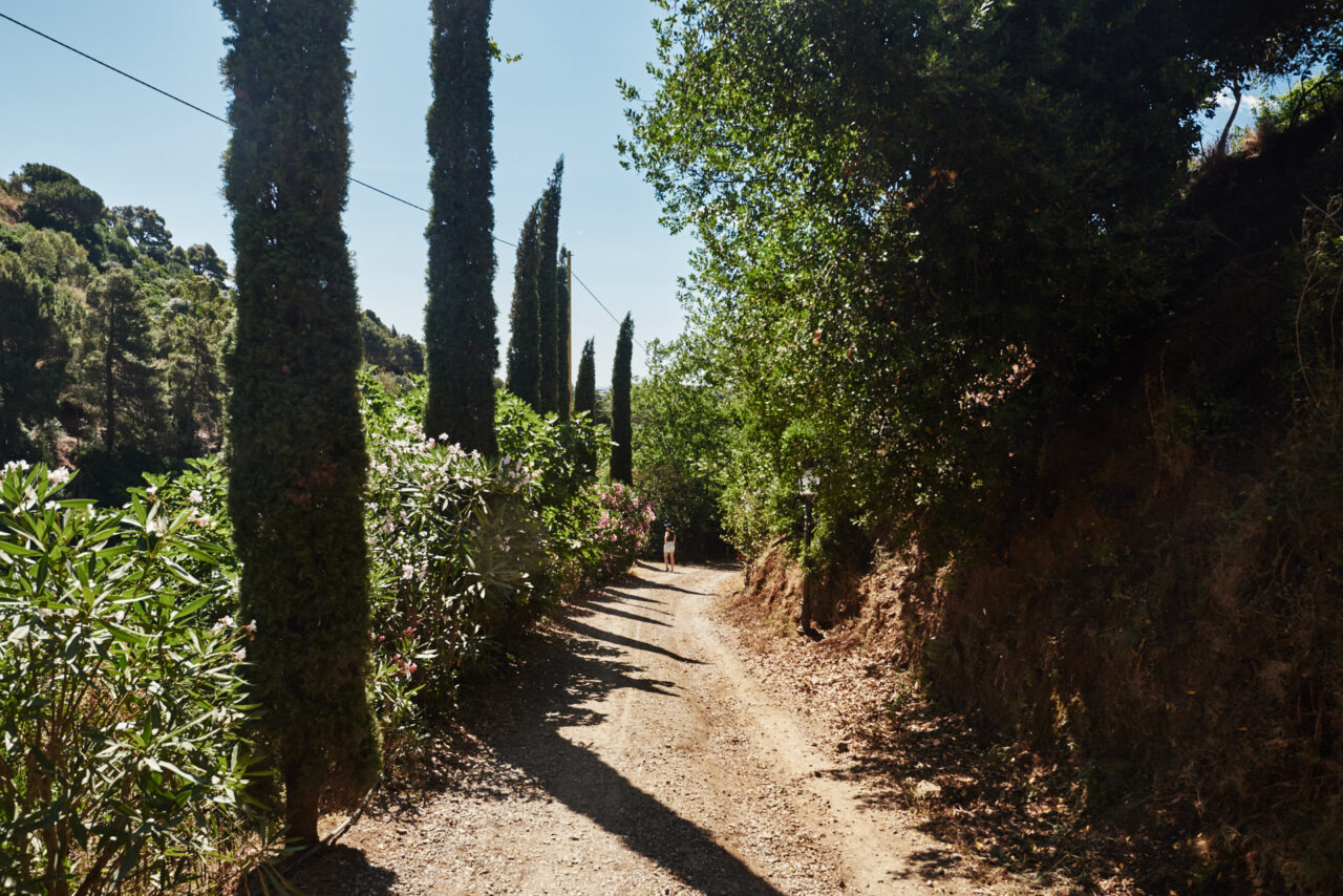 Elba Toscana Italy 2025