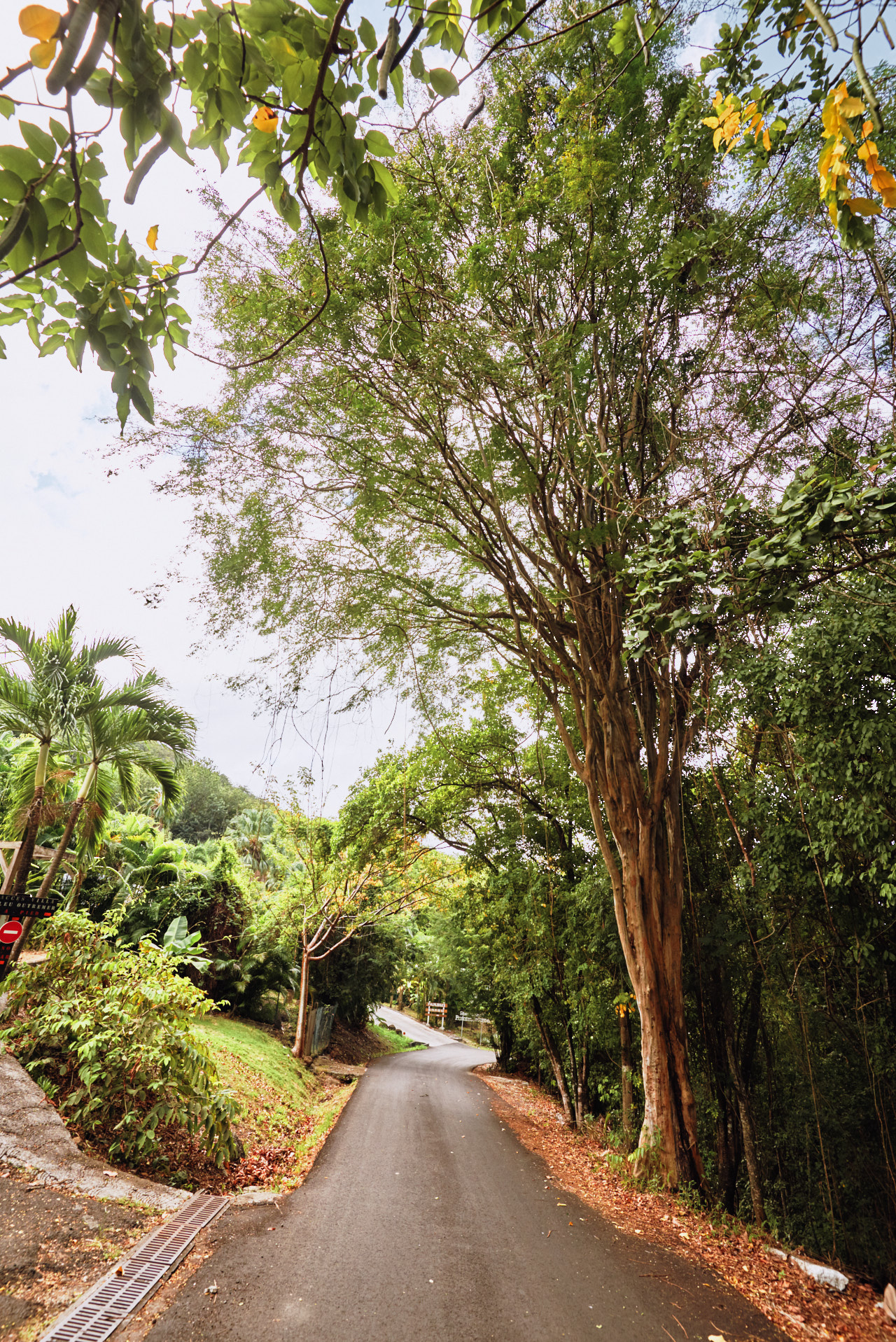 Guadeloupe Caraibes
