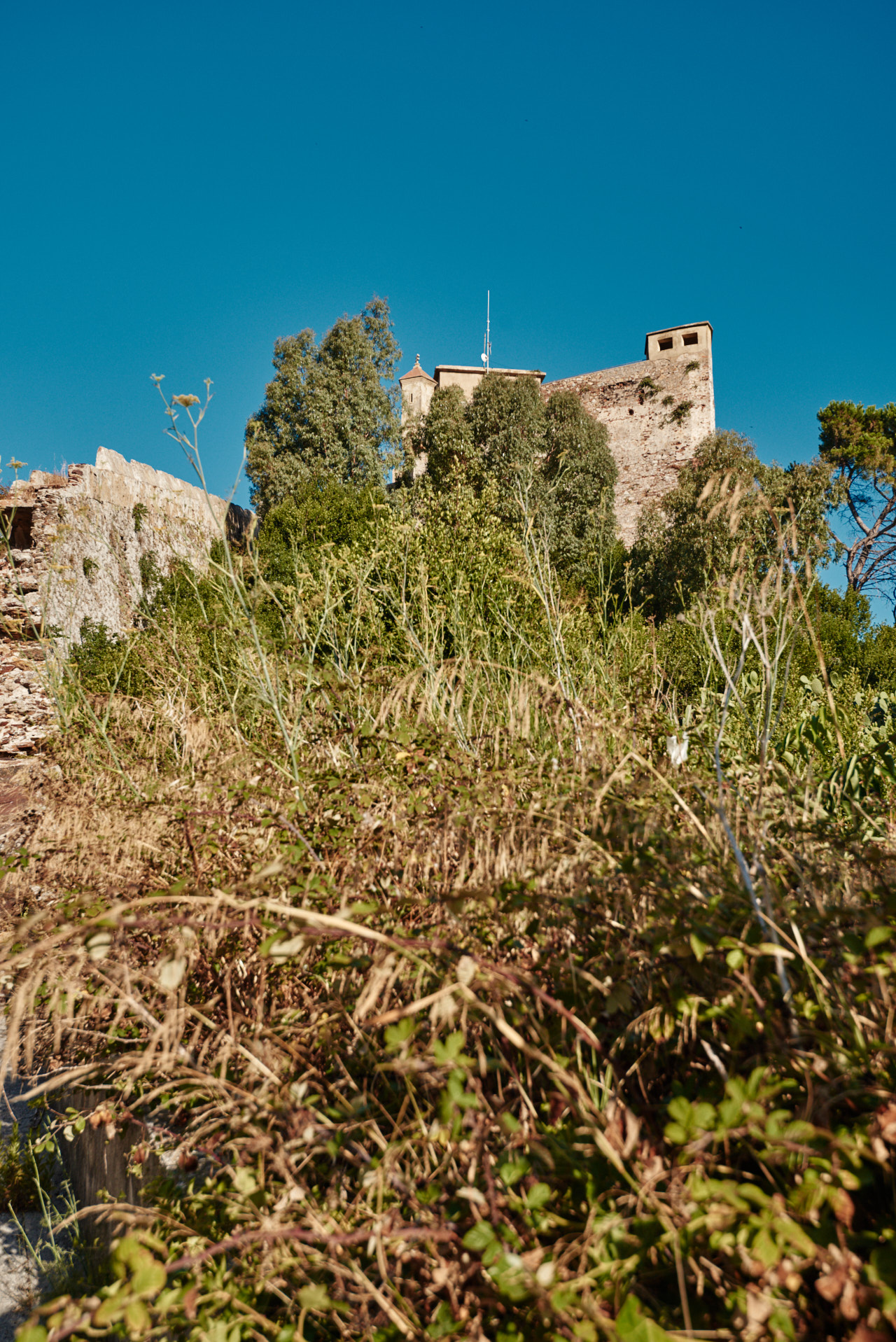 Elba Toscana Italy 2025
