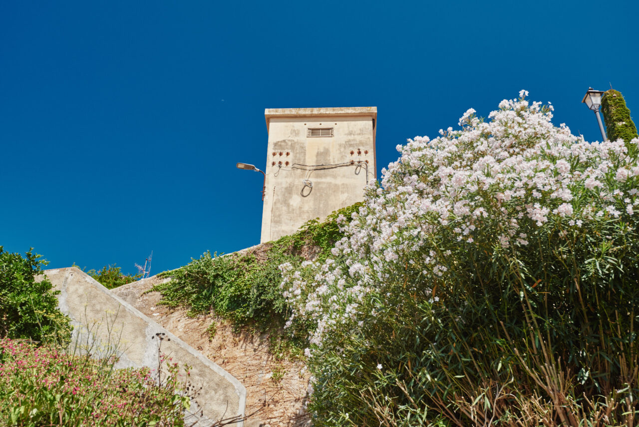 Elba Toscana Italy 2025