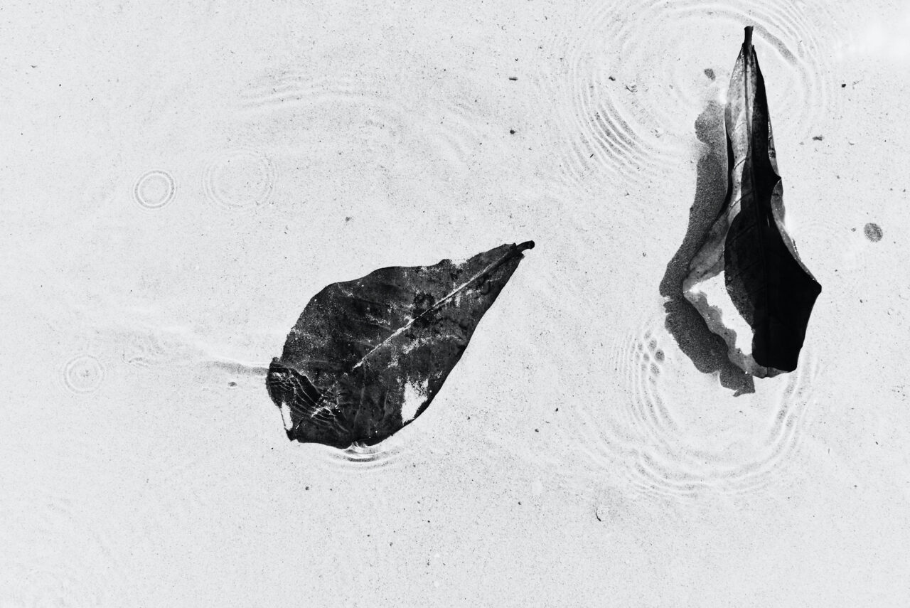 Concept Photography Black White Lucian Niculescu 171