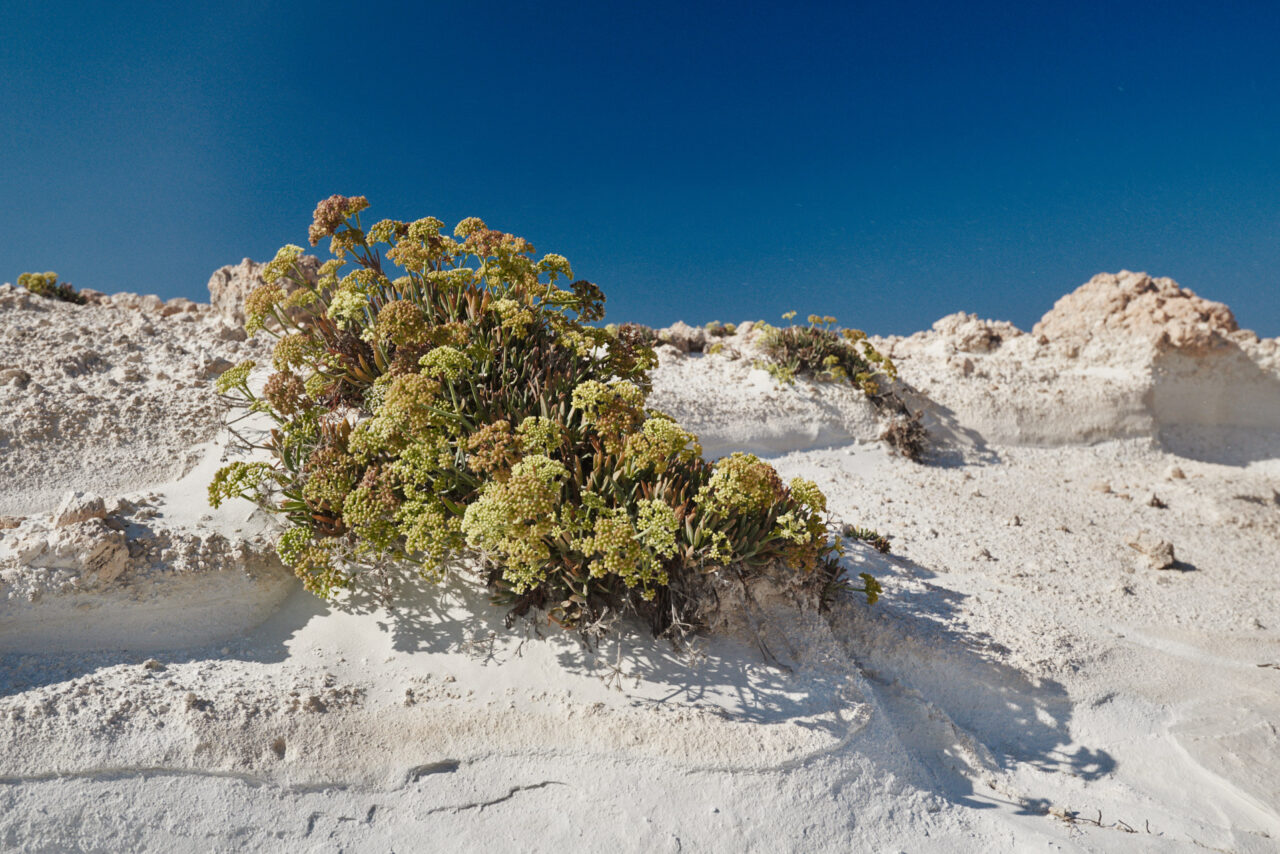 Sarakiniko Beach Milos Island