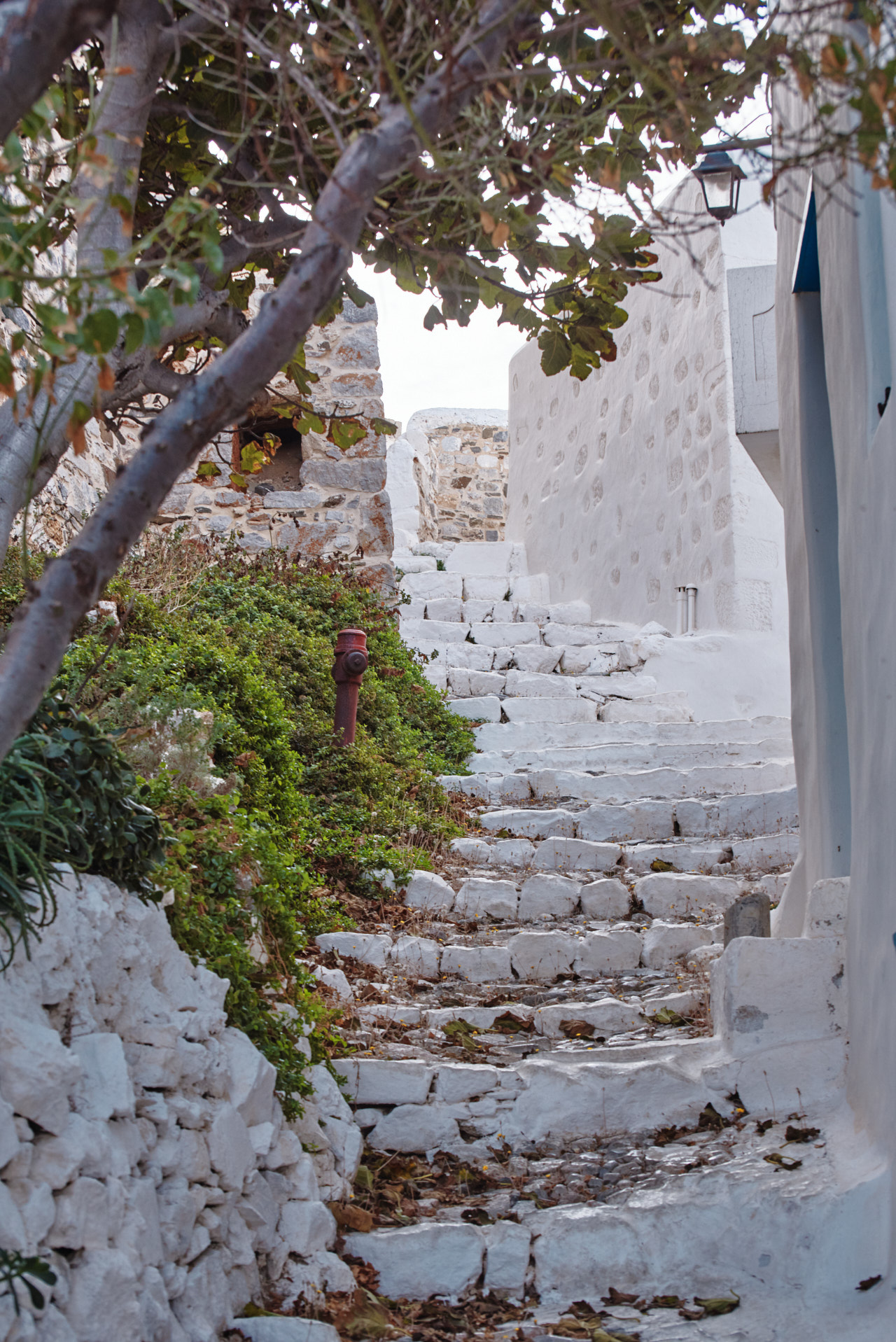 Astypalea Dodecanse Greece 2023