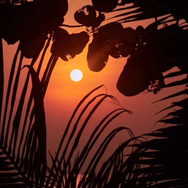 Sunset love II