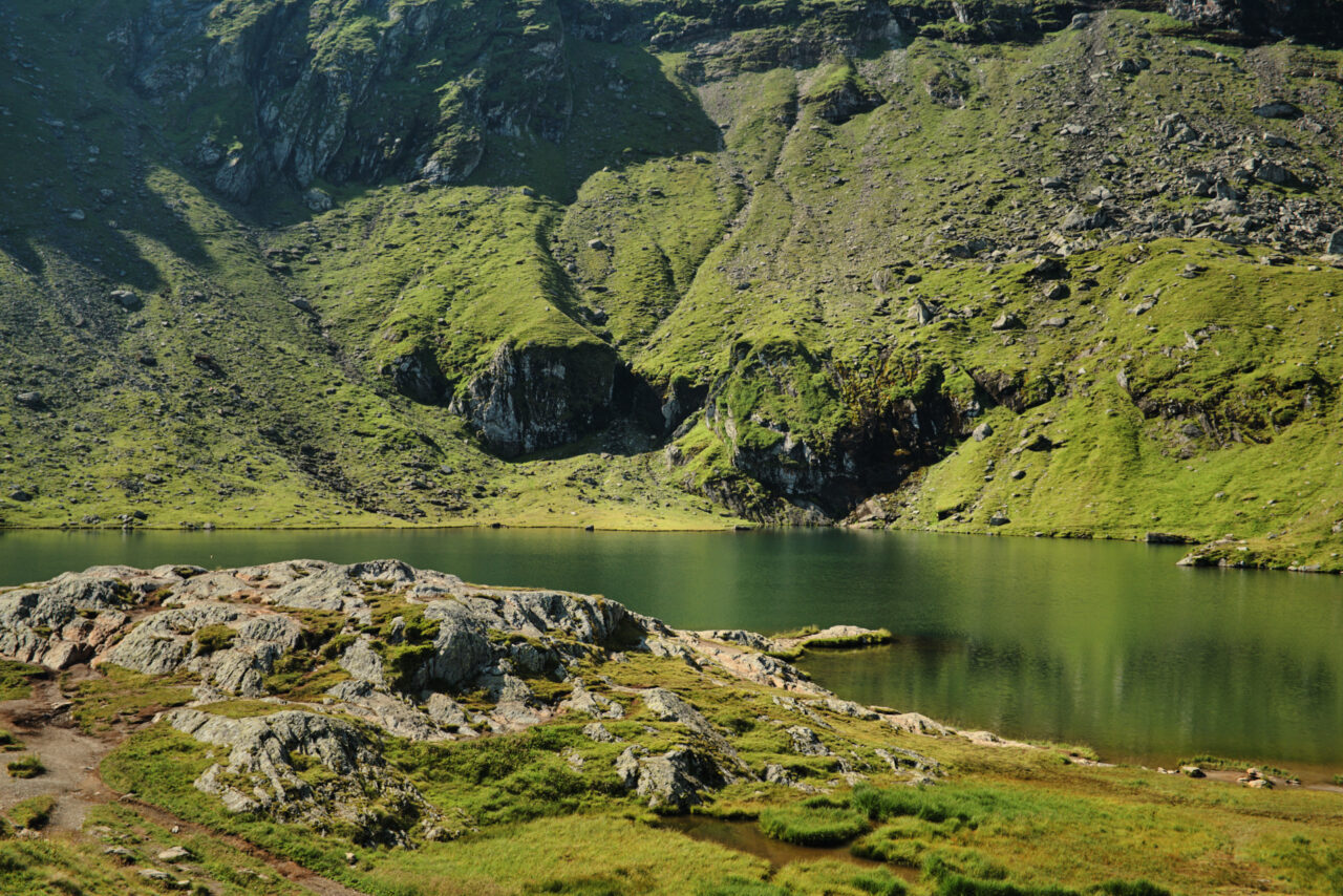Din Romania