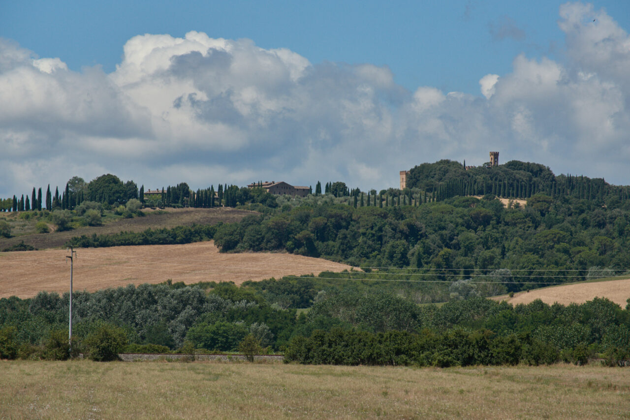 In Tuscany 003