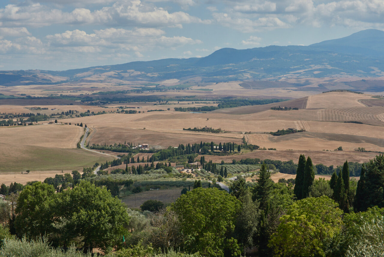 In Tuscany 013