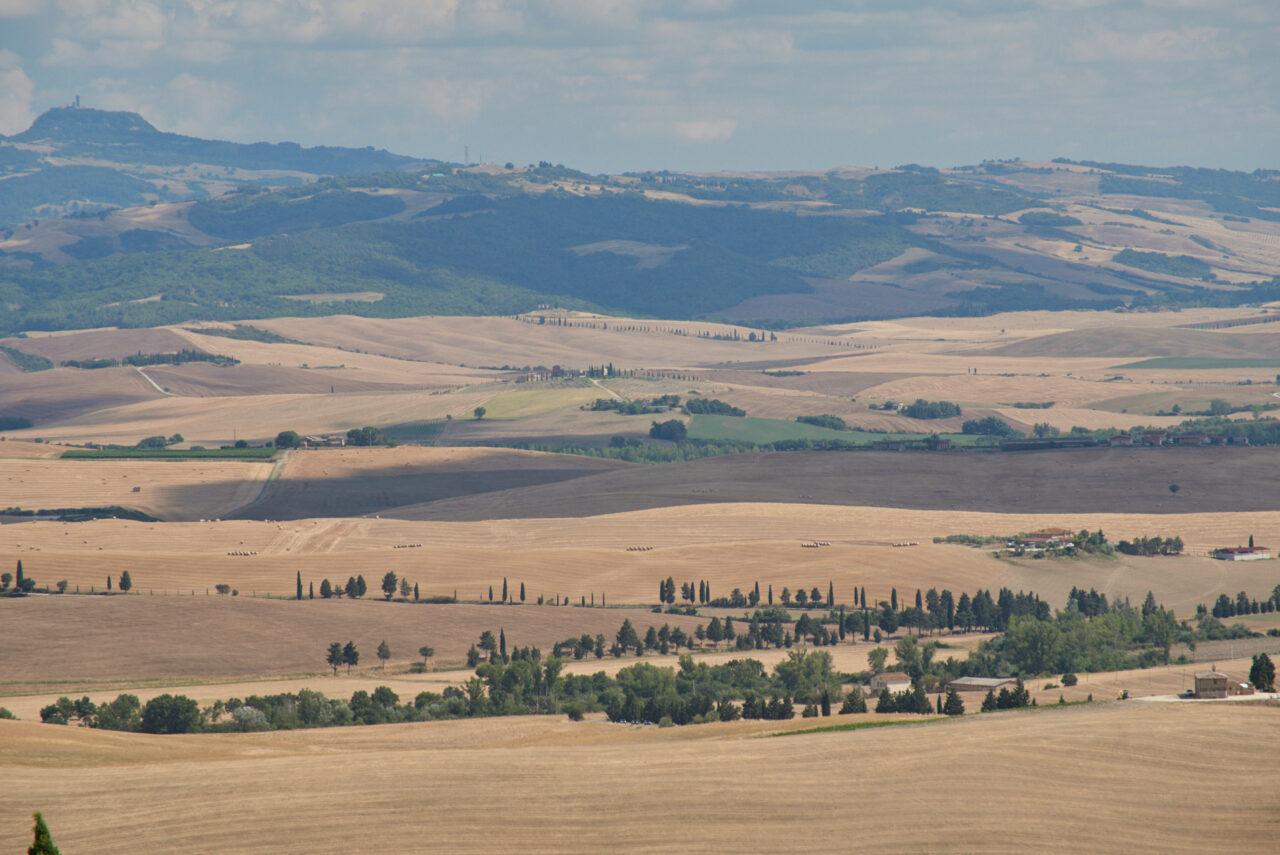 In Tuscany 015