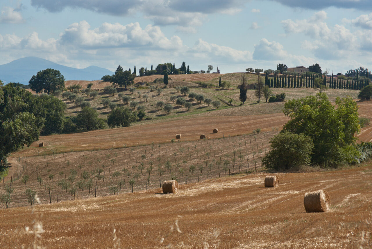 Toscana Italy 2025