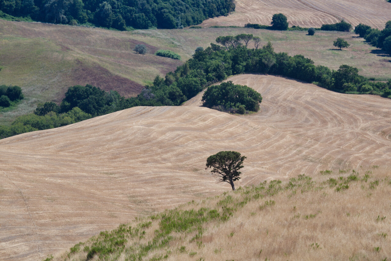 Toscana Italy 2025
